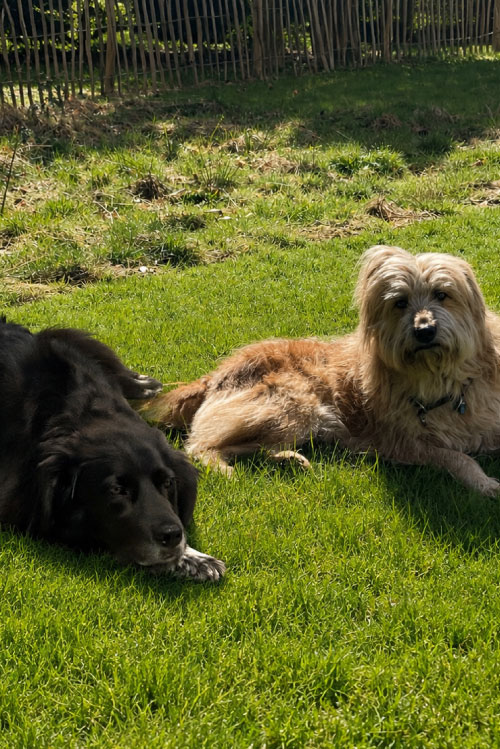 Gipsy & Lilly